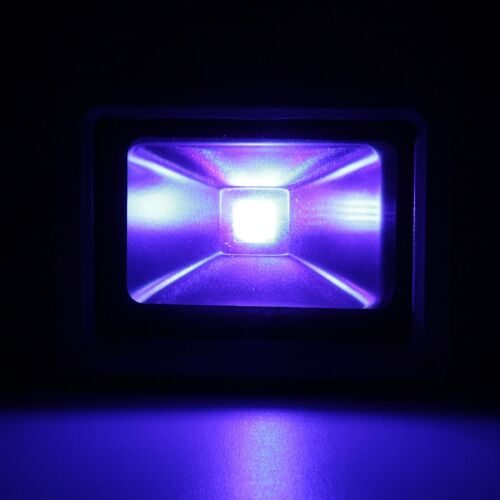Mood Light